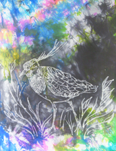 Load image into Gallery viewer, Silk Scarf The Lapwing Pastel Rainbow
