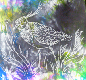 Silk Scarf The Lapwing Pastel Rainbow